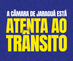 camara de vereadores transito