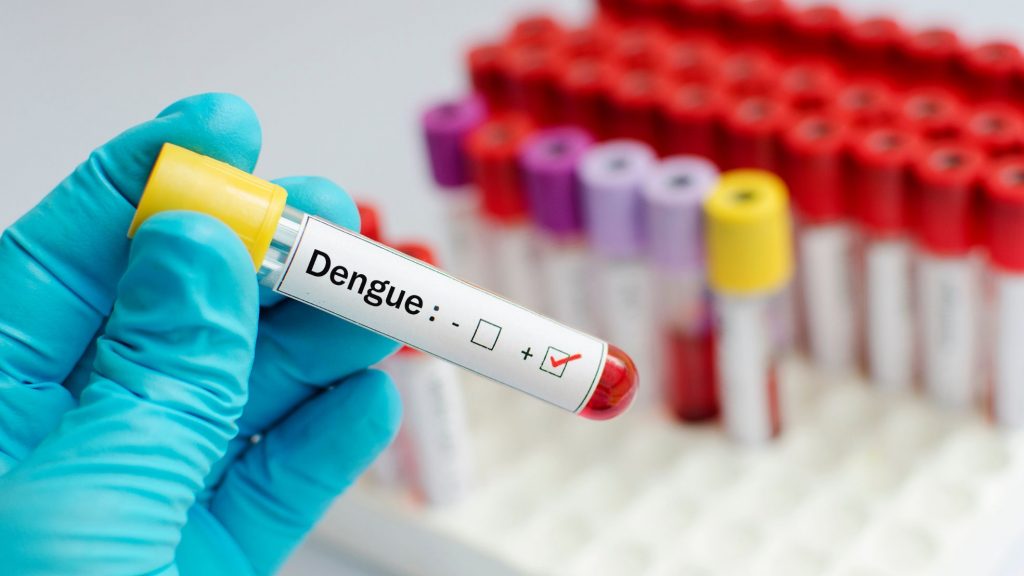 dengue