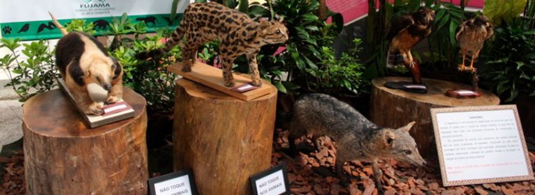 Exposição
