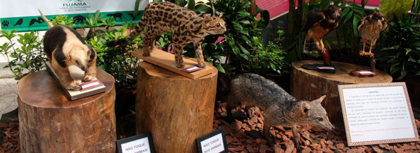 Exposição