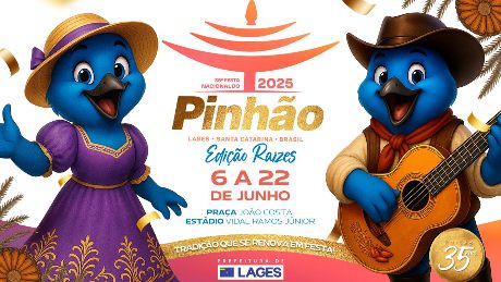 festa pinhao banner