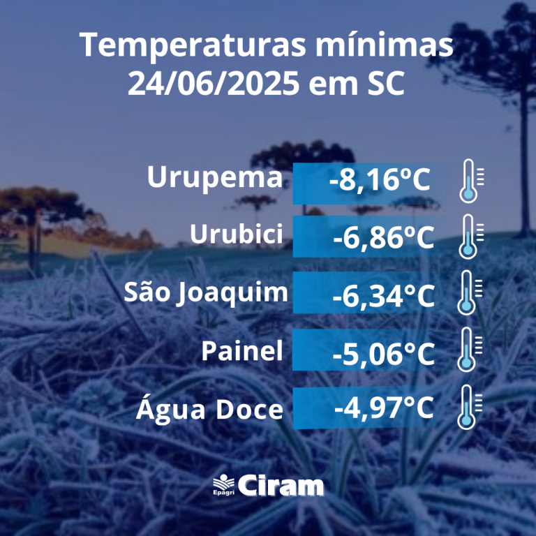 frio