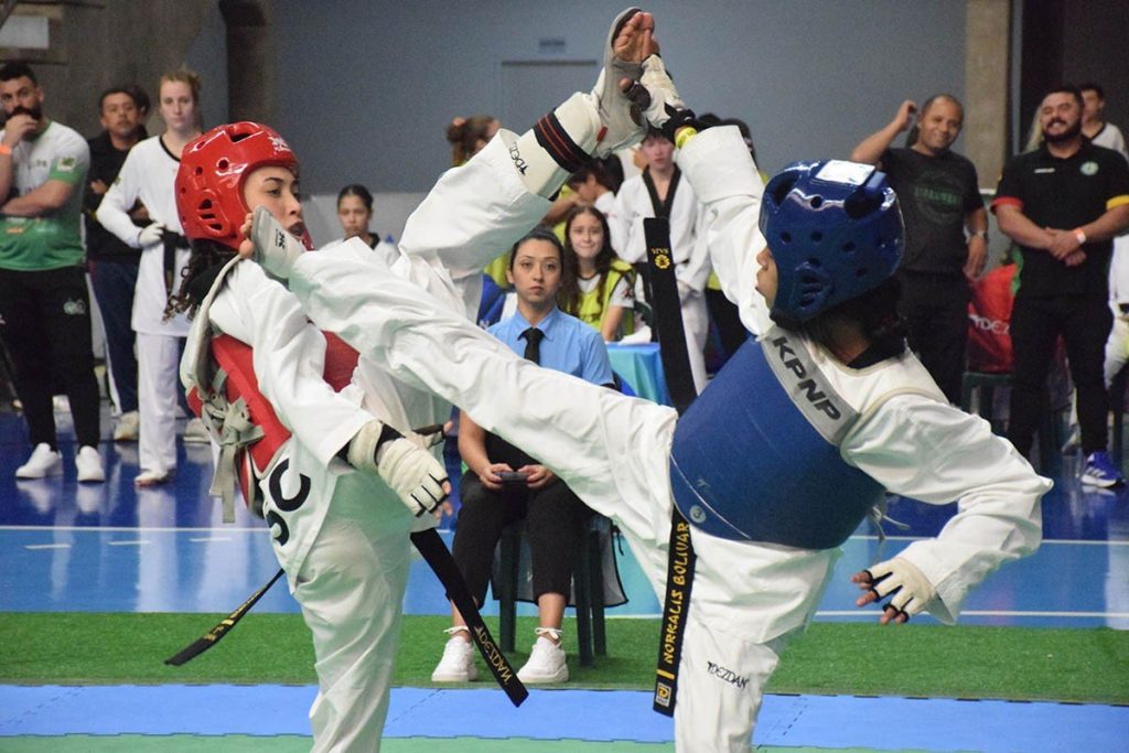 taekwondo