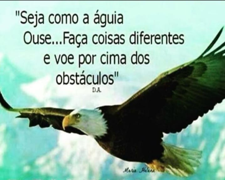 Águia