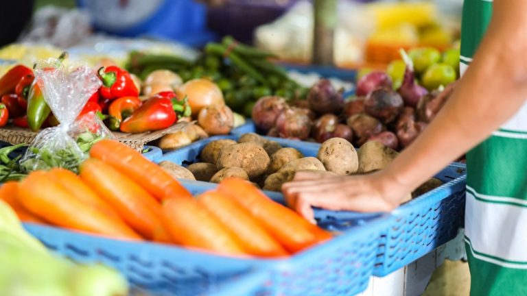 frutas legumes verduras