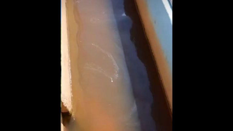 contaminação água guaramirim