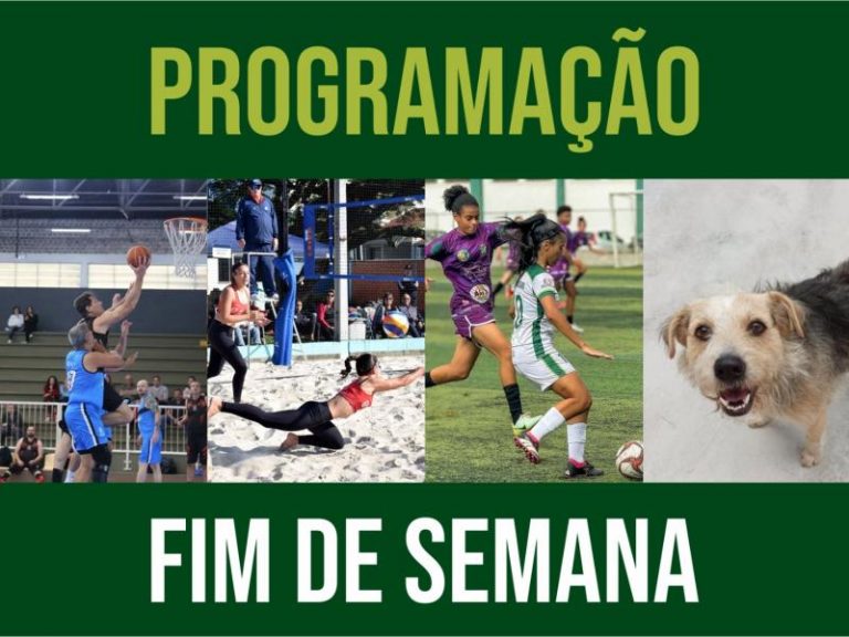agenda jgua