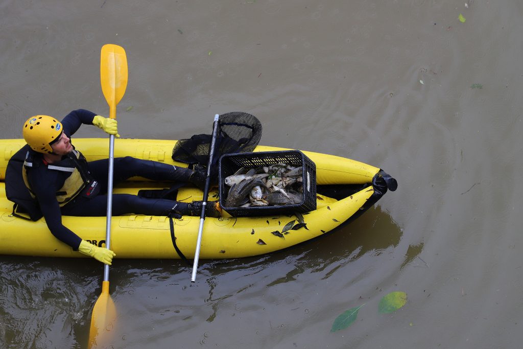 O que aconteceu com as 2 toneladas de peixes mortos no Rio Jaraguá?
