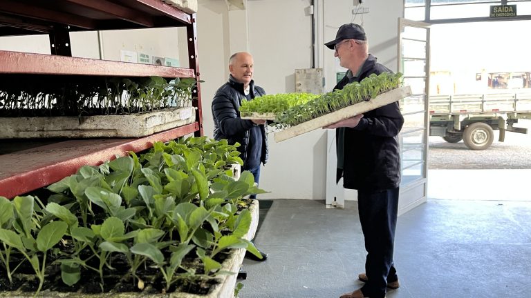 programa germinar mudas