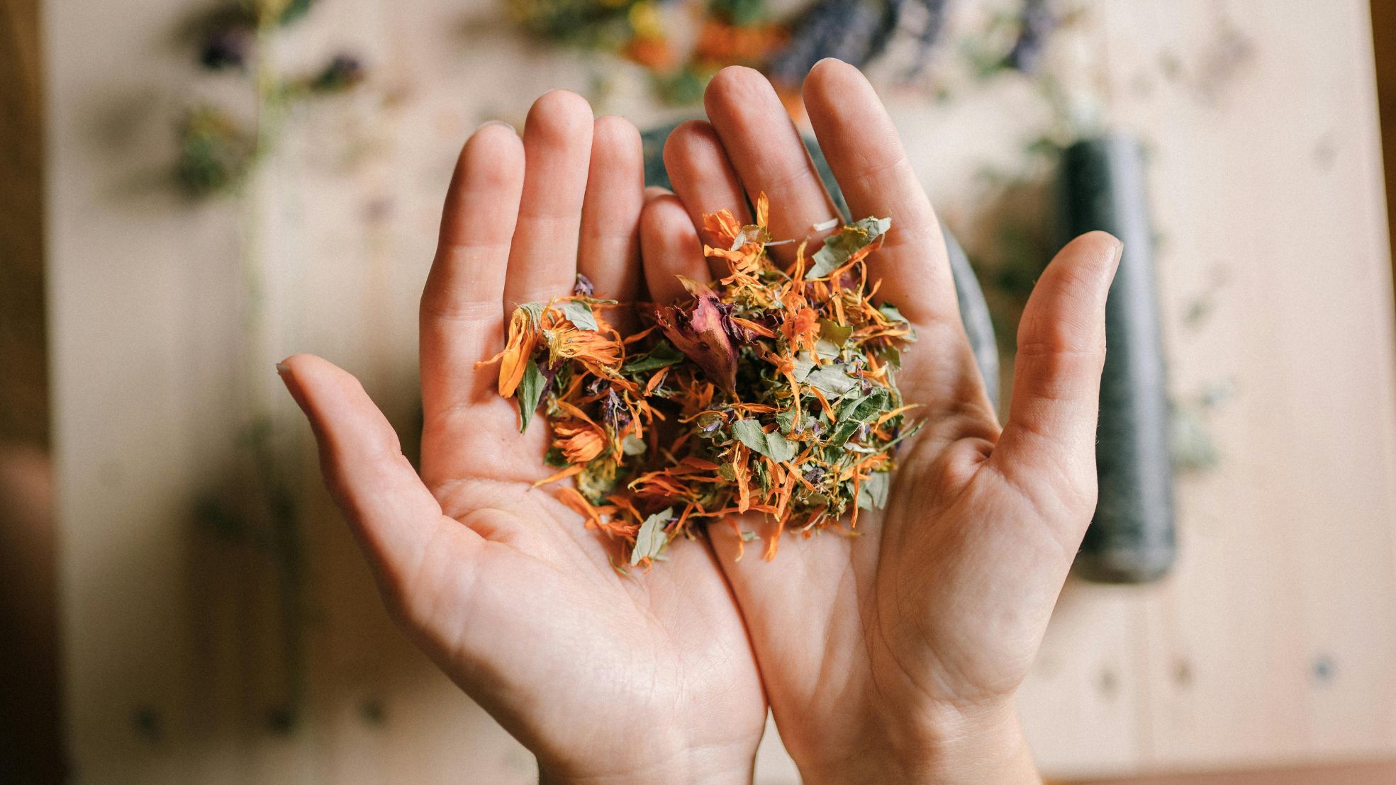 5 ervas poderosas para atrair boas energias e renovar o ambiente ✨🌿
